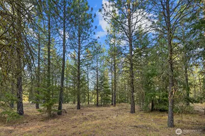 131 Gold Leaf Lane, Cle Elum, WA 98922 - Photo 4