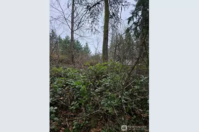 19101 106th Street Ct E, Bonney Lake, WA 98391 - Photo 4