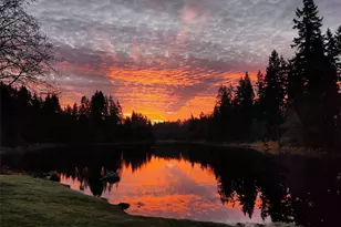 21817 NE 137th St, Woodinville, WA 98077 - Photo 40