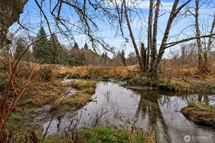 710 Z St SE, Tumwater, WA 98501 - Photo 36