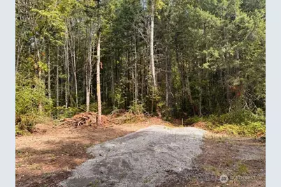 0 Chuckawa Lane SW, Yelm, WA 98597 - Photo 8