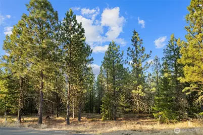 131 Gold Leaf Lane, Cle Elum, WA 98922 - Photo 4