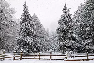 15116 346th Ave NE, Duvall, WA 98019 - Photo 40