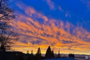 816 Walnut St, Edmonds, WA 98020 - Photo 2