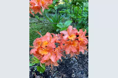 821 Essex Place NE #1C, Olympia, WA 98516 - Photo 28