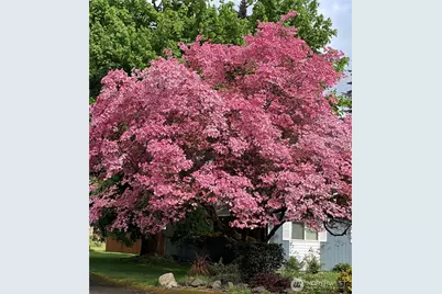 821 Essex Place NE #1C, Olympia, WA 98516 - Photo 8