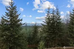 22905 Kings Lake Rd, Monroe, WA 98272 - Photo 2