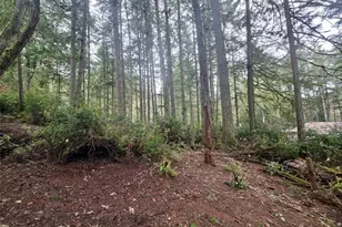 11312 Yoman Rd, Anderson Island, WA 98303 - Photo 1