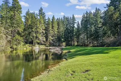 11312 Yoman Road, Anderson Island, WA 98303 - Photo 16