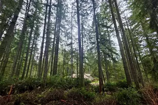 11312 Yoman Rd, Anderson Island, WA 98303 - Photo 6