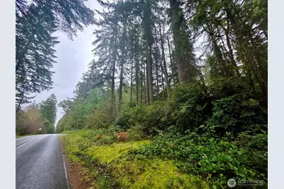 11312 Yoman Road, Anderson Island, WA 98303 - Photo 4