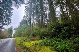 11312 Yoman Rd, Anderson Island, WA 98303 - Photo 4