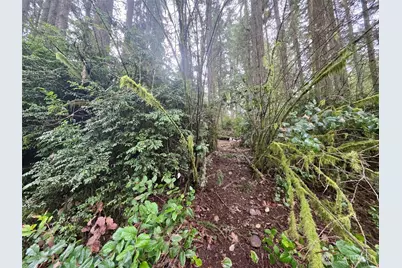 11312 Yoman Road, Anderson Island, WA 98303 - Photo 2