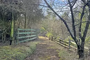 11 N Hamma Rdg Ct, Lilliwaup, WA 98555 - Photo 38