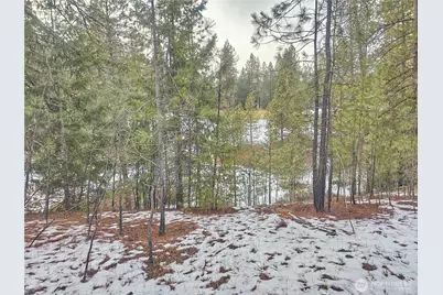 270 Eagle Dr, Chewelah, WA 99109 - Photo 6