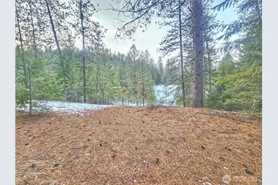 270 Eagle Dr, Chewelah, WA 99109 - Photo 2