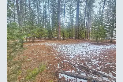 270 Eagle Dr, Chewelah, WA 99109 - Photo 4