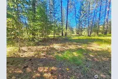 270 Eagle Dr, Chewelah, WA 99109 - Photo 1
