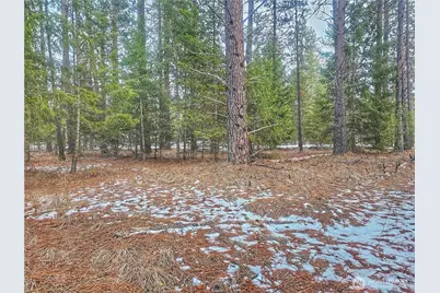 270 Eagle Dr, Chewelah, WA 99109 - Photo 8