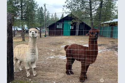 4396 Northport Flat Creek Road, Northport, WA 99157 - Photo 8