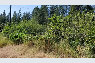 25055 Hwy 395 N, Kettle Falls, WA 99141 - Photo 40