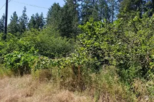 25055 Hwy 395 N, Kettle Falls, WA 99141 - Photo 40