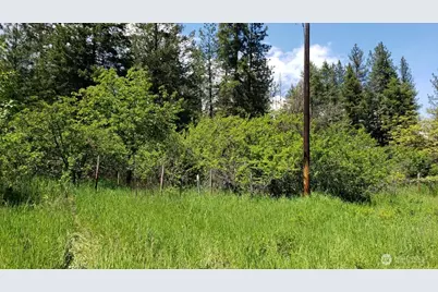 25055 Hwy 395 N, Kettle Falls, WA 99141 - Photo 28