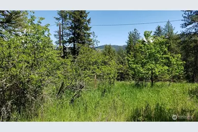 25055 Hwy 395 N, Kettle Falls, WA 99141 - Photo 32