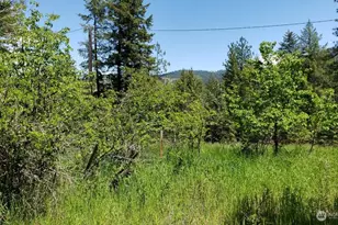 25055 Hwy 395 N, Kettle Falls, WA 99141 - Photo 32