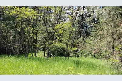 25055 Hwy 395 N, Kettle Falls, WA 99141 - Photo 30