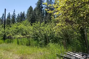 25055 Hwy 395 N, Kettle Falls, WA 99141 - Photo 26