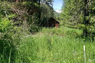 25055 Hwy 395 N, Kettle Falls, WA 99141 - Photo 12