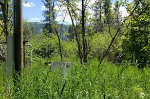 25055 Hwy 395 N, Kettle Falls, WA 99141 - Photo 10