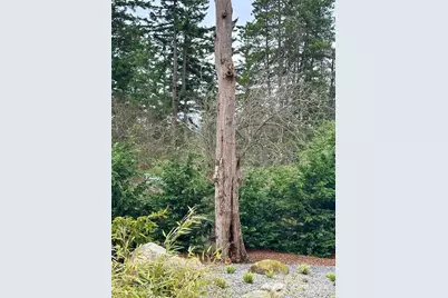 744 Crescent Beach Drive, Orcas Island, WA 98245 - Photo 30