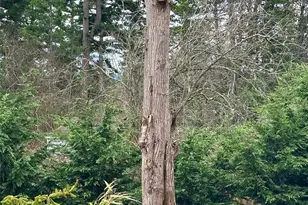 744 Crescent Beach Dr, Orcas Island, WA 98245 - Photo 30