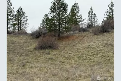 0 Cayuse Cove Road N, Davenport, WA 99122 - Photo 18
