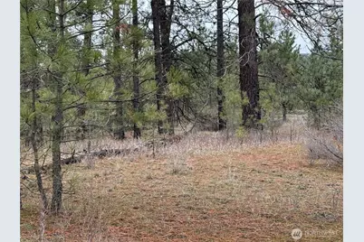 0 Cayuse Cove Road N, Davenport, WA 99122 - Photo 14