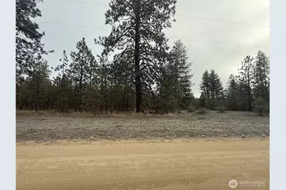 0 Cayuse Cove Road N, Davenport, WA 99122 - Photo 4