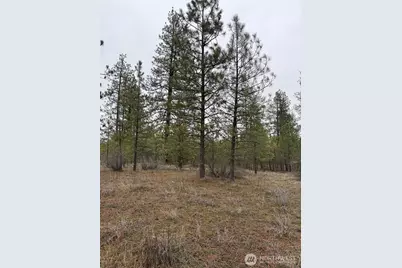 0 Cayuse Cove Road N, Davenport, WA 99122 - Photo 10