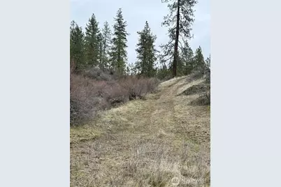 0 Cayuse Cove Road N, Davenport, WA 99122 - Photo 20