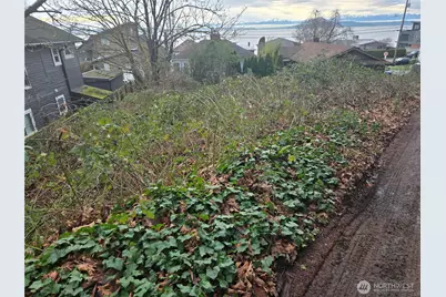 52 Xx SW Canada Drive, Seattle, WA 98136 - Photo 10