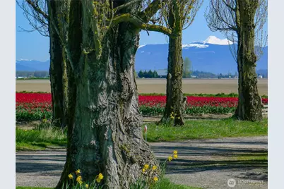 16005 La Conner Whitney Road, La Conner, WA 98257 - Photo 38
