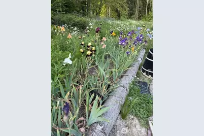 193 Springwater Lane, Sequim, WA 98382 - Photo 34