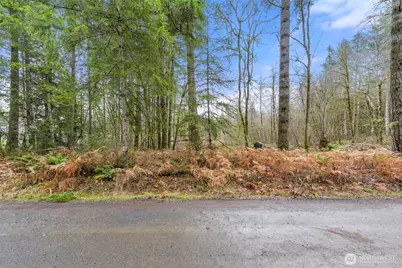 60 SE Mable Taylor Ln, Shelton, WA 98584 - Photo 20