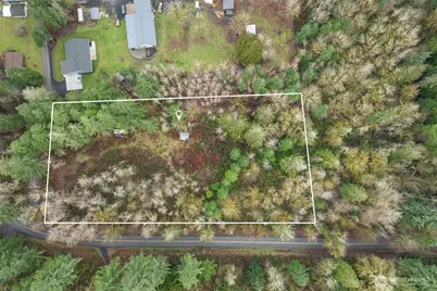 60 SE Mable Taylor Ln, Shelton, WA 98584 - Photo 4