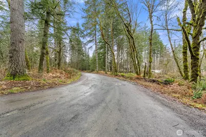 60 SE Mable Taylor Ln, Shelton, WA 98584 - Photo 18