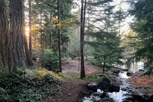 1656 Eagle Ridge Rd, Orcas Island, WA 98245 - Photo 40