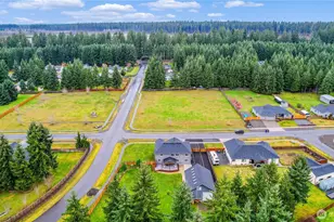 3118 290th St S, Roy, WA 98580 - Photo 38