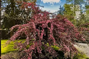 21315 107th Ave SE, Snohomish, WA 98296 - Photo 4