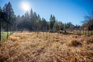 371 Pigeon Springs Rd, Onalaska, WA 98570 - Photo 34